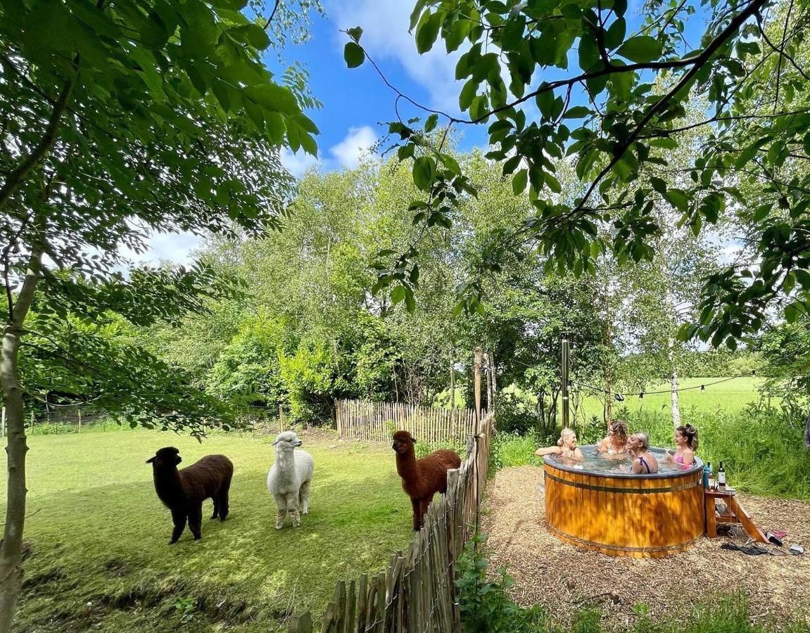 Wereldse Bell Tenten Met Alpaca'S Paasloo Экстерьер фото